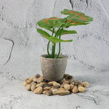 Smooth river stones decoration