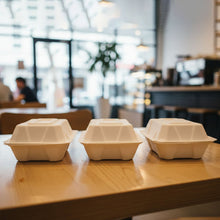 Vegnar Premium Bagasse Clamshell Food Box (10 Pc, 9x6 Inch)